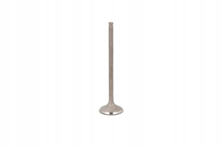 FRECCIA R6556/RNT SOUPAPE ÉCHAPPEMENT