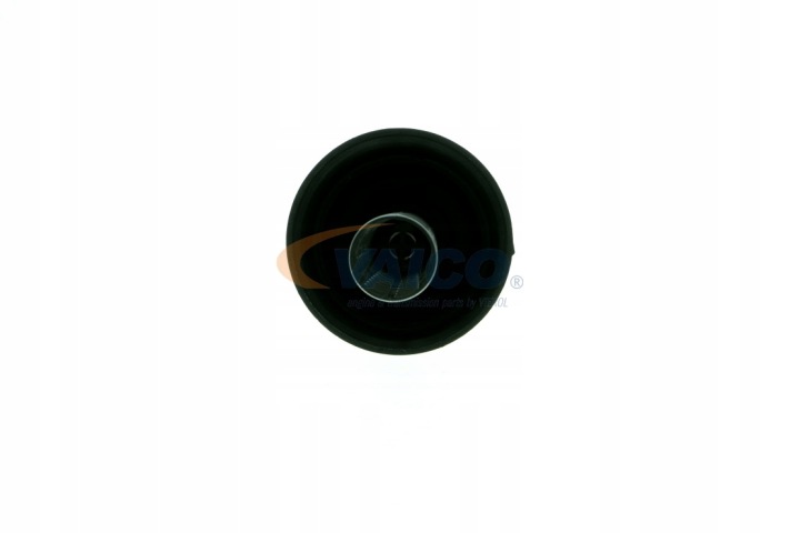 CHÂSSIS FILTRE HUILES COUVERCLE PROTECTION VAICO V10-4624