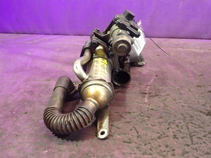 RENAULT SCENIC III 09-12 1.5 DCI VANNE EGR 70036806 5 GOUPILLE