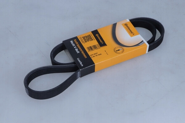 CONTITECH 5PK1145 COURROIE EN V MULTICANAL