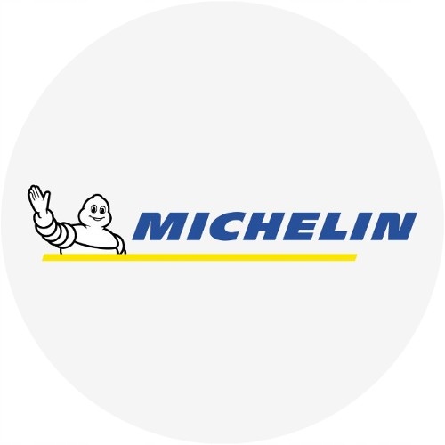 2x Michelin e.Primacy 205/55R16 91V