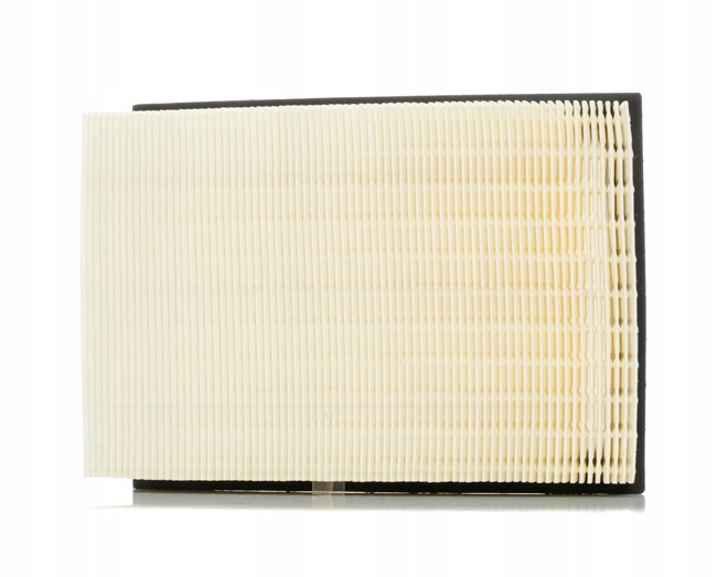 RIDEX 8A0078 FILTRE AIR
