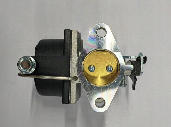 CARBURATEUR VERS TONDEUSES CONVIENT VERS MODÈLES TECUMSEH 640065A 640065 OHV110 OHV115