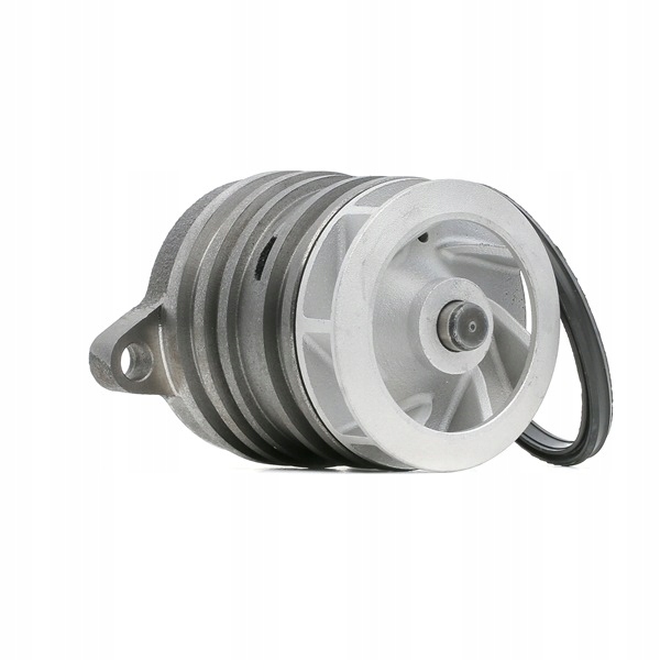 RIDEX 1260W0046 POMPES À EAU VERS VW MULTIVAN V (7HM, 7HN, 7HF, 7EF, 7EM, 7EN)