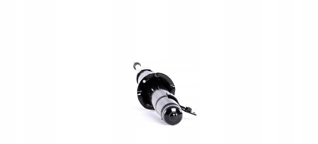 RIDEX 854S1349 AMORTISSEUR GAZEUX TÉLESCOPIQUE AVANT LEWO VERS MAZDA 6 (GH)