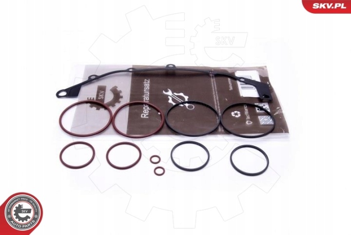 KIT RÉPARATION COLLECTEURS BMW 3 E36/46 7 E38 5 E39/60 X3 E83 X5