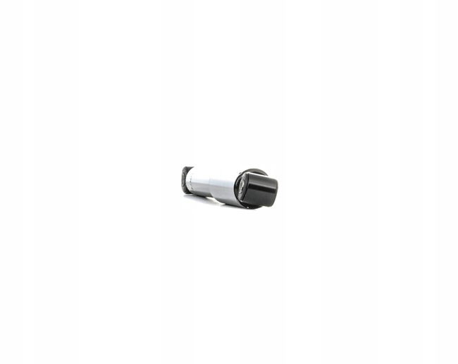 RIDEX 854S1046 AMORTISSEUR