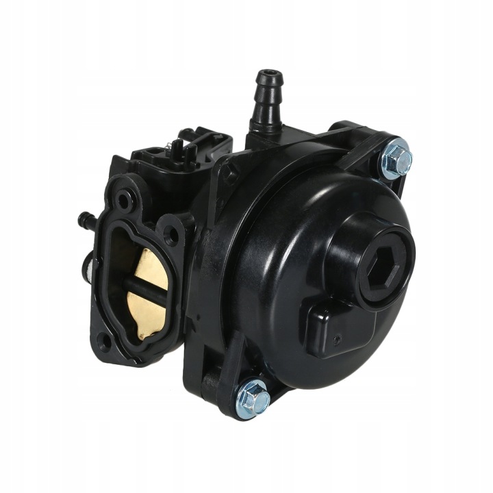 REMPLACEMENT CARBURATEUR POUR BRIGGS STRATTON 550EX 09P702 9P702 MOTEURS ZASTEPUJA
