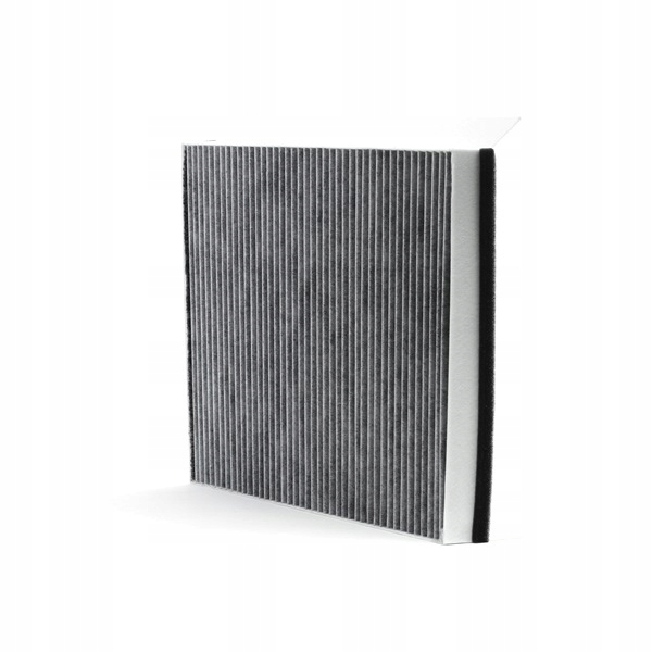 RIDEX 424I0321 FILTRE VENTILATION ESPACES PASAZERSKIEJ FILTRE AVEC WEGLEM