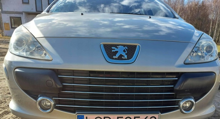 PEUGEOT 307 LIFT SW HAYON BAGUETTES CHROME SUR GRILLE CALANDRE TUNING DÉCORATIF 5 PCS