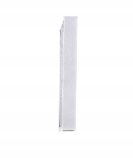RIDEX 424I0211 FILTRE VENTILATION ESPACES PASAZERSKIEJ FILTRE AVEC WEGLEM