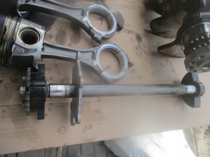 KOLO DENTÉ GALET DISTRIBUTION 059 109 116G 059 109 116G
