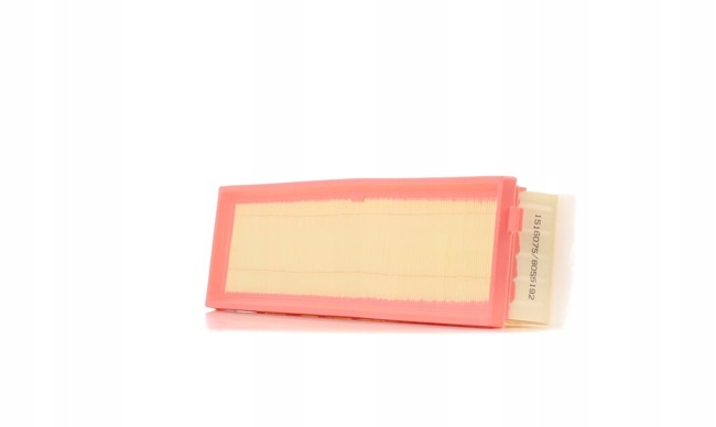 RIDEX 8A0197 FILTRE AIR