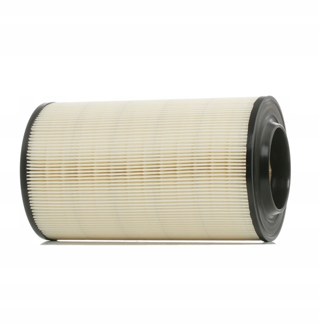 RIDEX 8A0099 FILTRE AIR