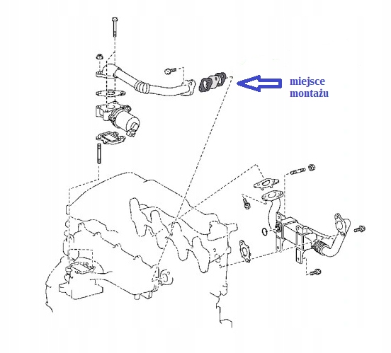 BLIND PLUG EGR TOYOTA 2.0 1AD-FTV 2.2 2AD-FTV AD-FHV 