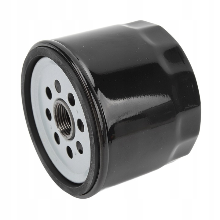 FILTRE HUILES MOTEUR 35866340Q03 SUBSTITUT CHODNICY POUR TOUS JN