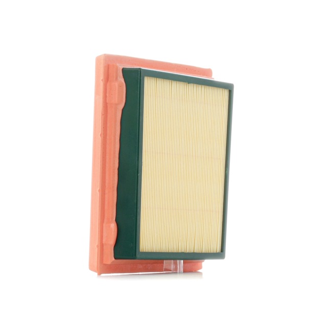 RIDEX 8A0049 FILTRE AIR VERS NISSAN MICRA III (K12) NOTE (E11, NE11)