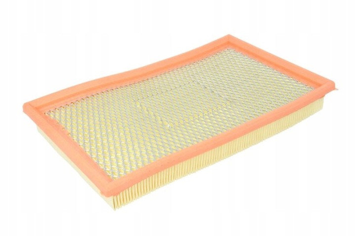 FILTRE AIR FILTRON AP192/1