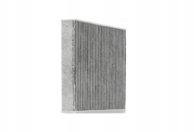 RIDEX 424I0219 FILTRE VENTILATION ESPACES PASAZERSKIEJ FILTRE AVEC WEGLEM