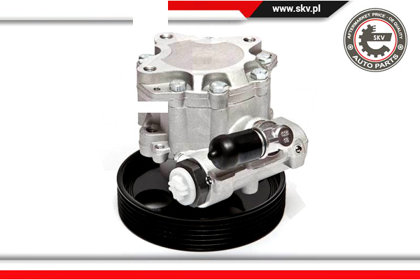 POMPE AMPLIFICATEUR CAOUTCHOUC VERSION ZF ESEN SKV