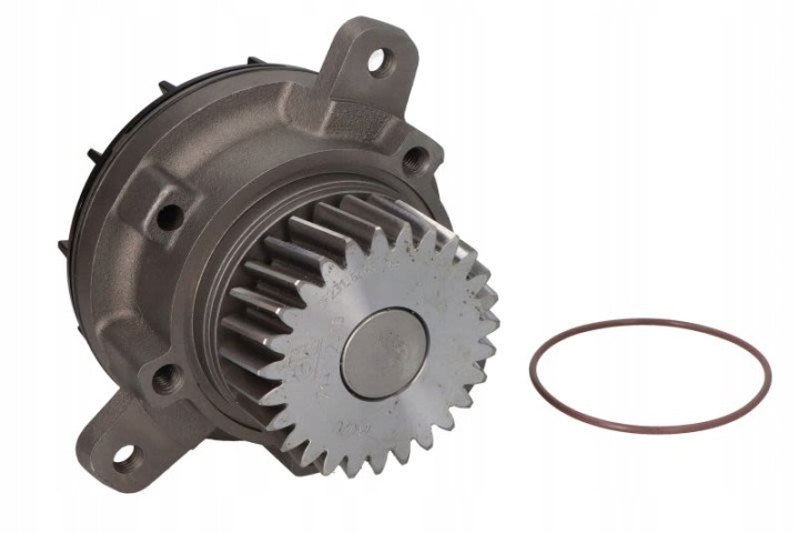 DT SPARE PARTS 2.15244 POMPE À EAU REFROIDISSEMENT MOTEUR