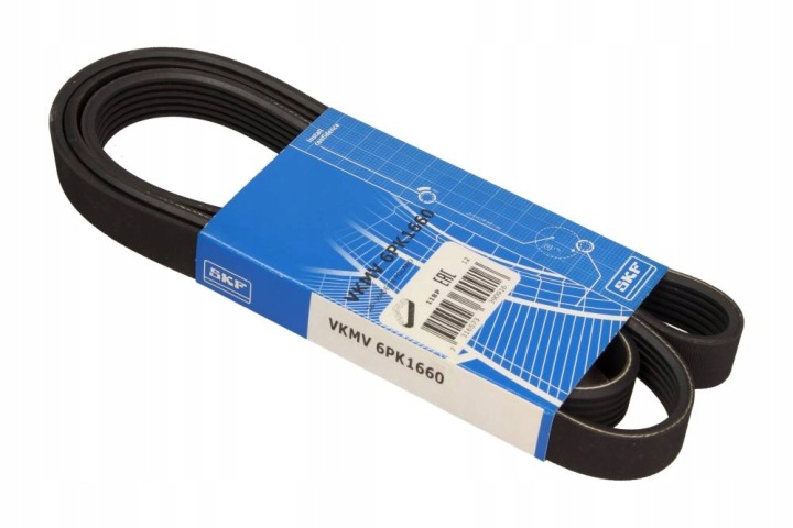 SKF VKMV 6PK1660 COURROIE EN V MULTICANAL