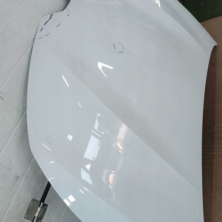 CAPOT RENAULT CLIO V 19- 651224027R