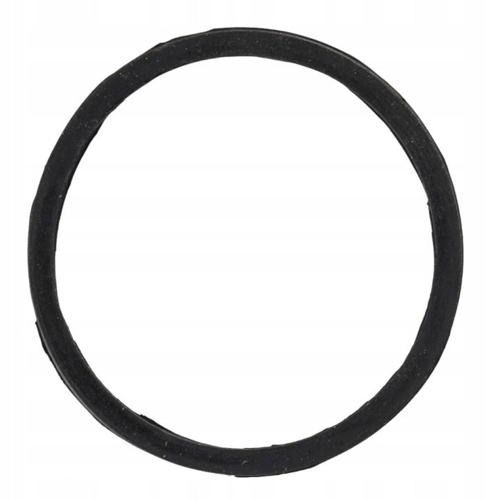 INSERT FILTRE CARBURANTS T-25 FP-10.32 WLOCLAWEK