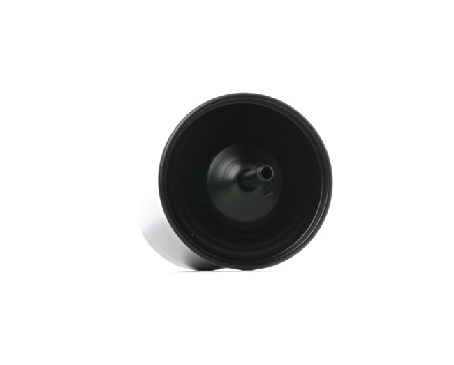 RIDEX 9F0080 FILTRE CARBURANTS