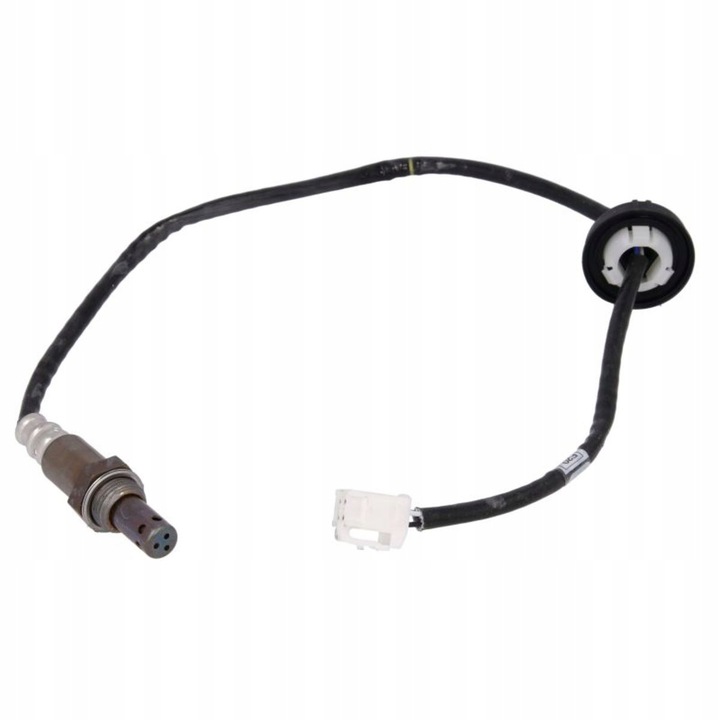 エムン　0423 2_000000013644.jpg?1754376650