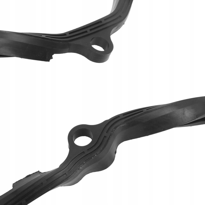JOINT D'ÉTANCHÉITÉ CUVETTES HUILEUSE BOÎTE DE VITESSES 7551080 7566356 SUBSTITUT POUR R55