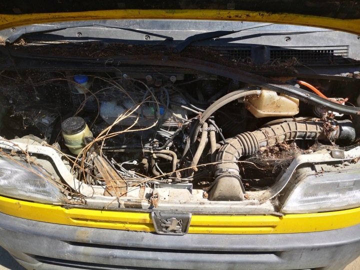 PEUGEOT BOXER CHARNIÈRE AVANT PORTES AVANT 2001 2.5L
