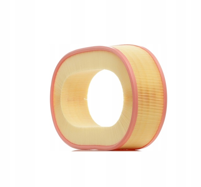 RIDEX 8A0368 FILTRE AIR