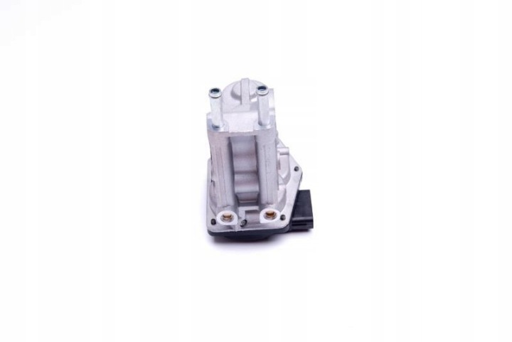 SKV VANNE EGR TOYOTA HILUX VII LAND CRUISER PRADO 2580030200