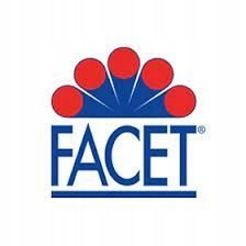 FACET 9.3052/FAC SENSOR DETONACIÓN STUKOWEGO CHEVROLET 