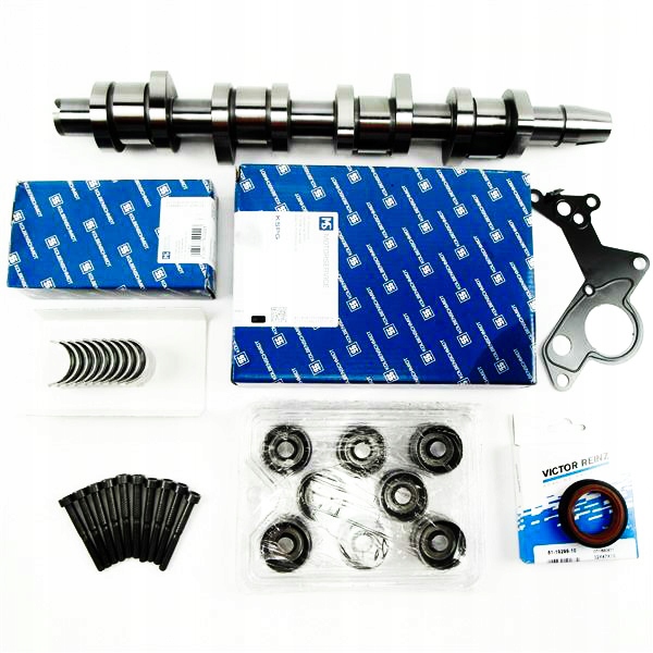 ARBRE À CAMES AUDI A3 A4 B7 1.9 2.0TDI BLS BMM BPW POUSSOIR KIT