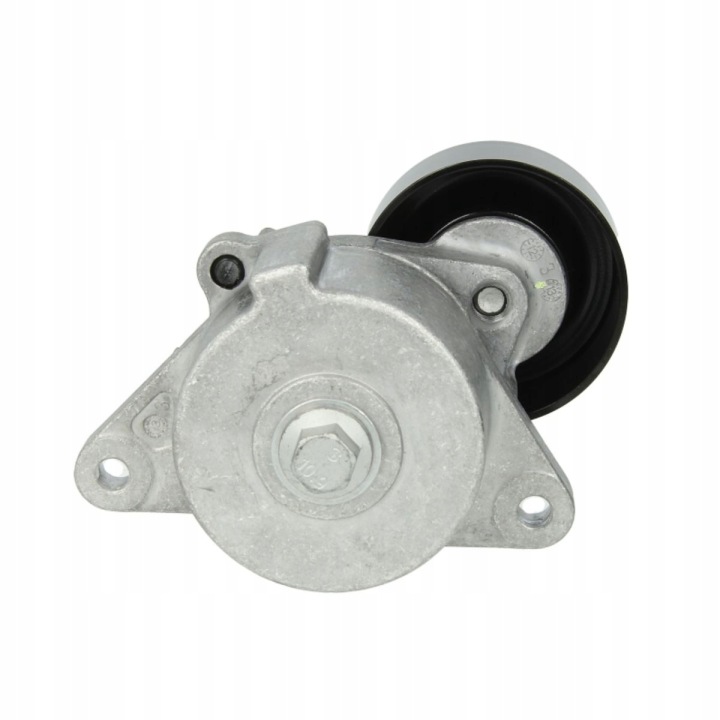 SKF TENDEUR COURROIE POLYWEDGE NISSAN 2,5DCI NAVARA 05-