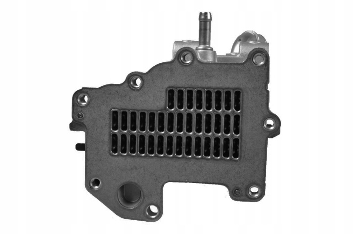 RADIATEUR EGR NRF 48002 504317815