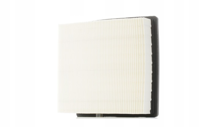 RIDEX 8A0380 FILTRE AIR VERS FIAT SEDICI (FY) VERS SUZUKI SX4 (EY, GY)