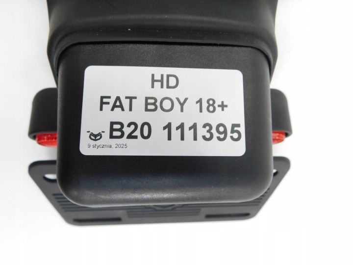 HARLEY DAVIDSON FAT BOY 18+ FIXATION NUMÉROS 67900316