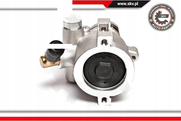 POMPE AMPLIFICATEUR 10SKV047 DSP5101 SEAT TOLEDO VW CORRADO GOLF I II