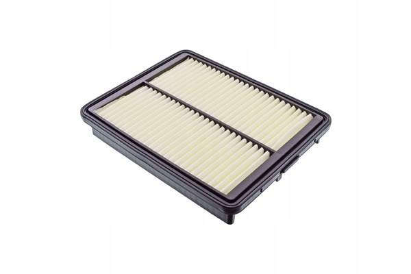 FILTRE AIR BLUE PRINT ADG022149 2315035300