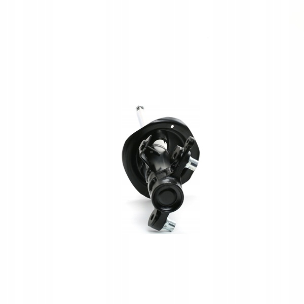 RIDEX 854S0937 AMORTISSEUR GAZEUX ENTRETOISE SUSPENSIONS AVANT LEWO