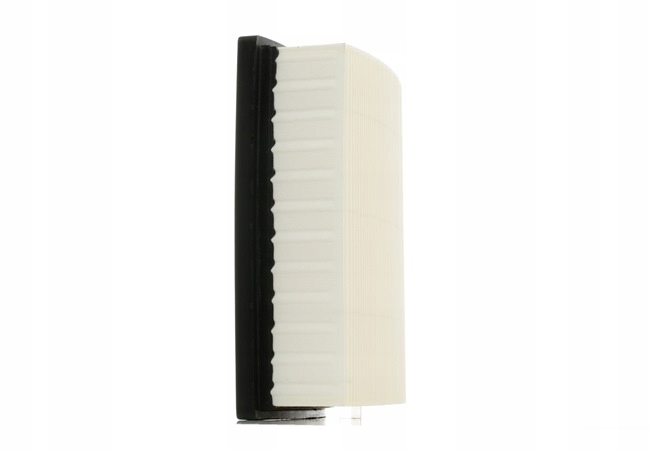 RIDEX 8A0055 FILTRE AIR