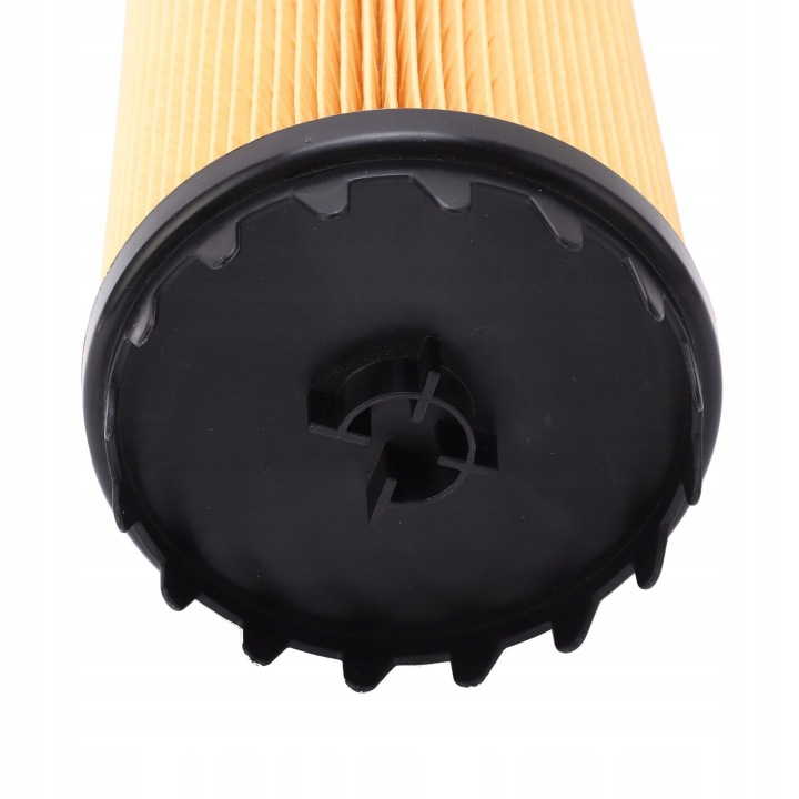 FILTRE CARBURANTS FS 20173 PLISOWANY NOSNIK À HAUTE