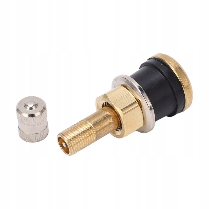 10 PCS EN LAITON PIVOT SOUPAPE TR501 À HAUTE WYTRZYMALOSCI PIVOT