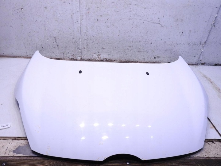 CAPOT FORD FIESTA MK6 VI H9