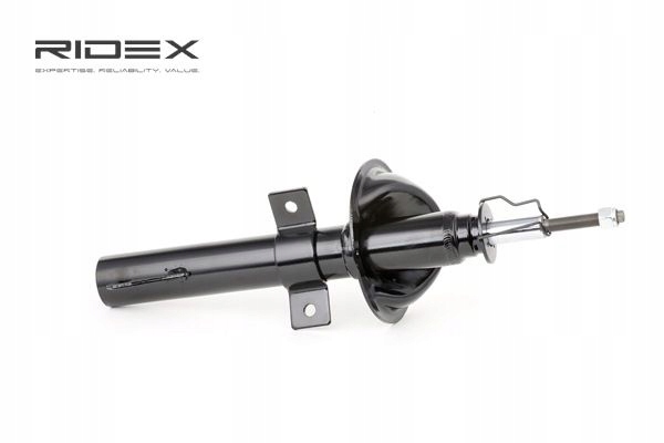 2 CV RIDEX 854S0898 AMORTISSEUR GAZEUX ENTRETOISE SUSPENSIONS AVANT