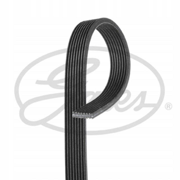 COURROIE CALE GATES 8DPK1445 LAND ROVER RAN 8DPK1445 GAT GATES
