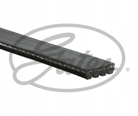 GATES BELT W/KLINOWY photo 3 - milautoparts-fr.ukrlive.com